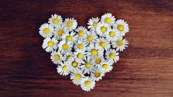 Greater Love