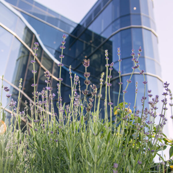 NAD headquarters building photo