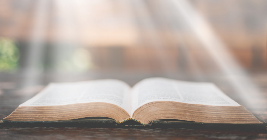 From Heaven’s Gift to Our Gratitude: A Legacy of Adventist Christmas