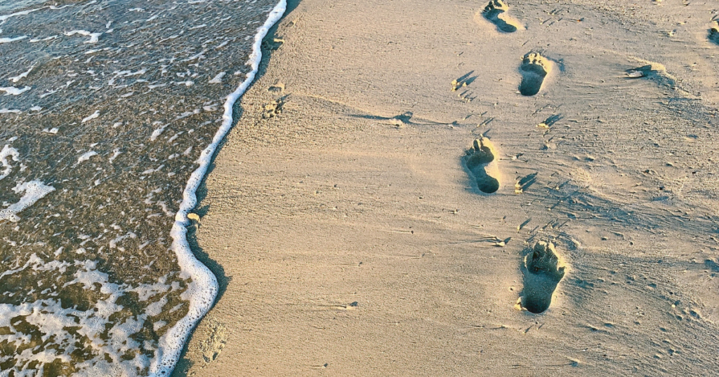 In His Steps