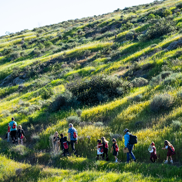 Outdoor Learning Takes Root at Conejo