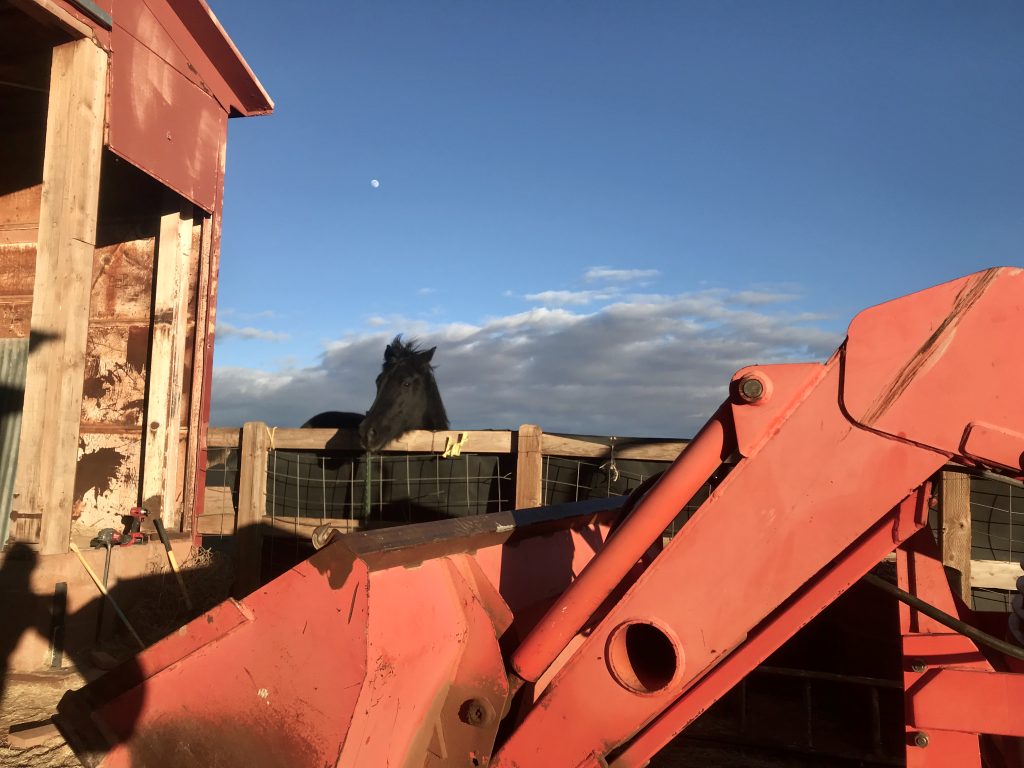 Demolition Prep – Day 1
