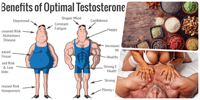 what makes a man's testosterone high