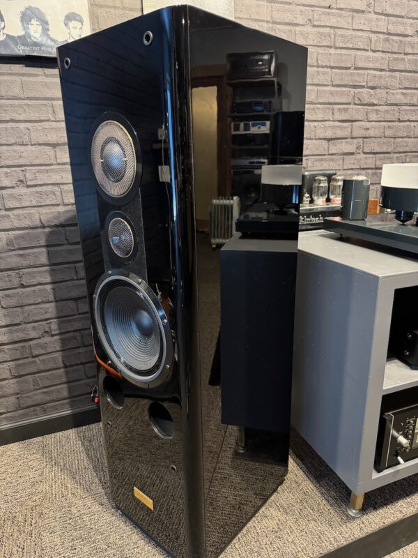 Pioneer TZ9 Ltd. Side angle right