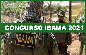 Concursos Ibama e ICMBio lives que trazem tudo dos editais - Logo