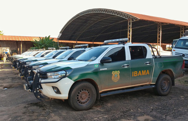 Concursos Ibama e ICMBio lives que trazem tudo dos editais - Ibama