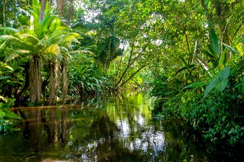 Concursos Amazonas: editais e datas das provas revelados - Árvore3