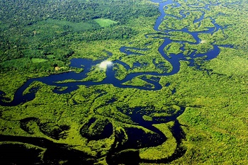 Concursos Amazonas: editais e datas das provas revelados - Árvores2