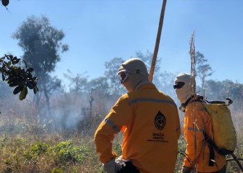 Concurso Ibram DF recebe aval para contratar 150 brigadistas temporários. - Pessoas 3