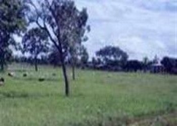 Concurso IMA MG terá 132 vagas nos níveis médio e superior - Campo