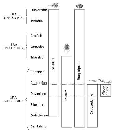 Origem e evolução da vida para o Enem + IMAGEM 1
