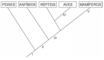 Origem e evolução da vida para o Enem + IMAGEM 3