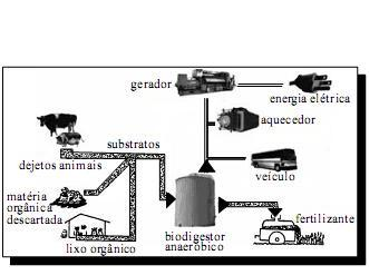 Ecologia e ciências ambientais para o Enem + IMAGEM 2