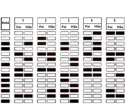 Hereditariedade e diversidade da vida para o Enem + IMAGEM 1