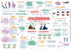 Teoria da evolução