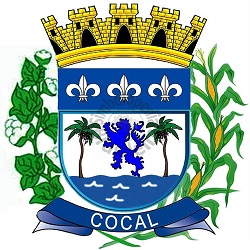 Câmara de Cocal-PI