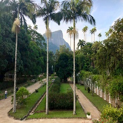 JARDIM BOTÂNICO-RJ
