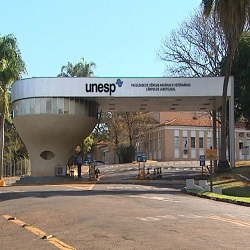 UNESP - Campus Jaboticabal