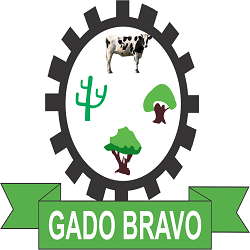 Prefeitura de Gado Bravo-PB