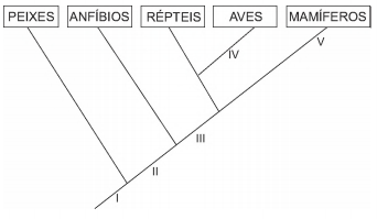 Simulado ENEM 6034  Biologia QUESTAO  15