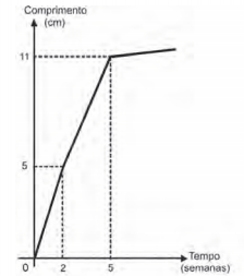 Simulado ENEM 6221  MATEMATICA QUESTAO 08