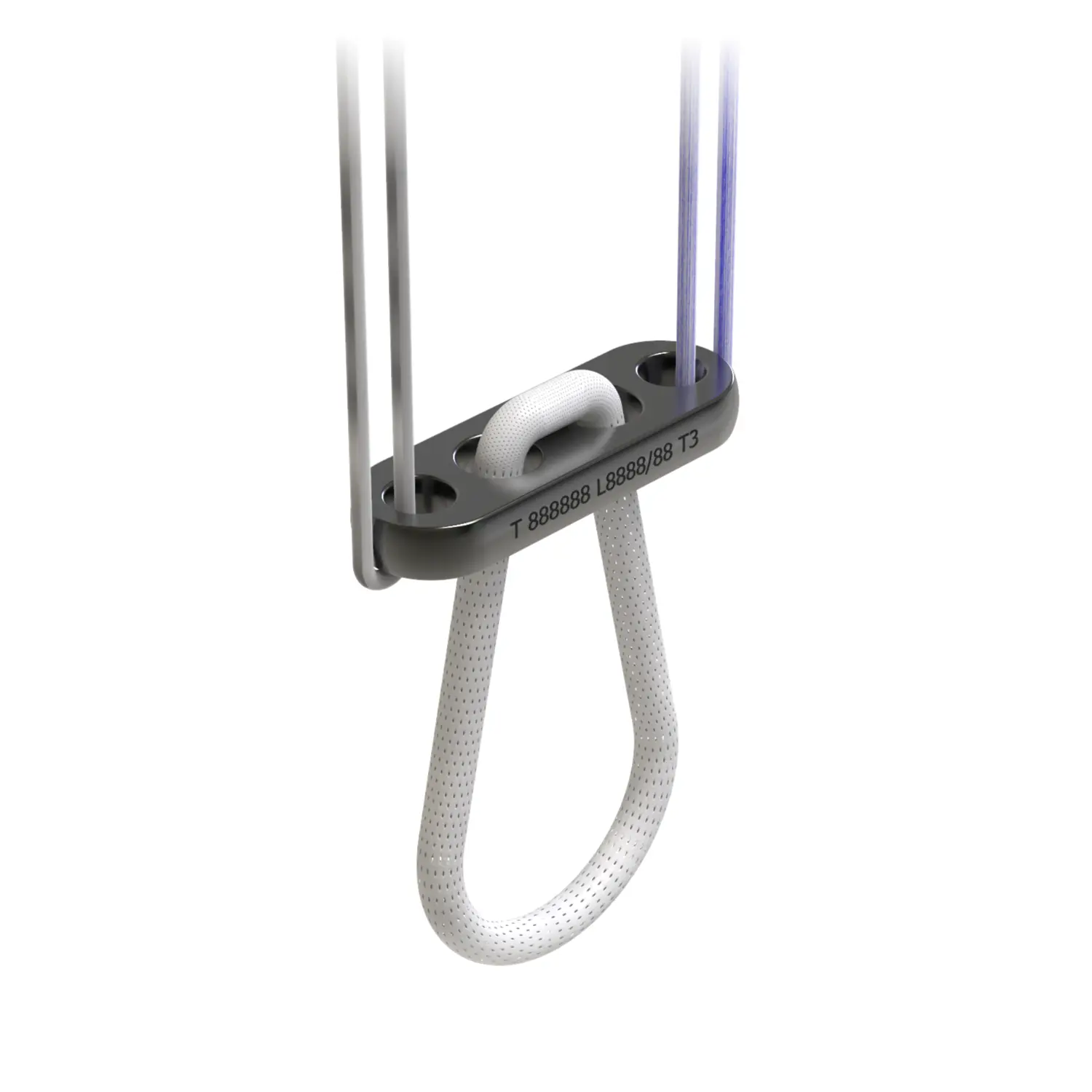 Imagem de: Endoboton