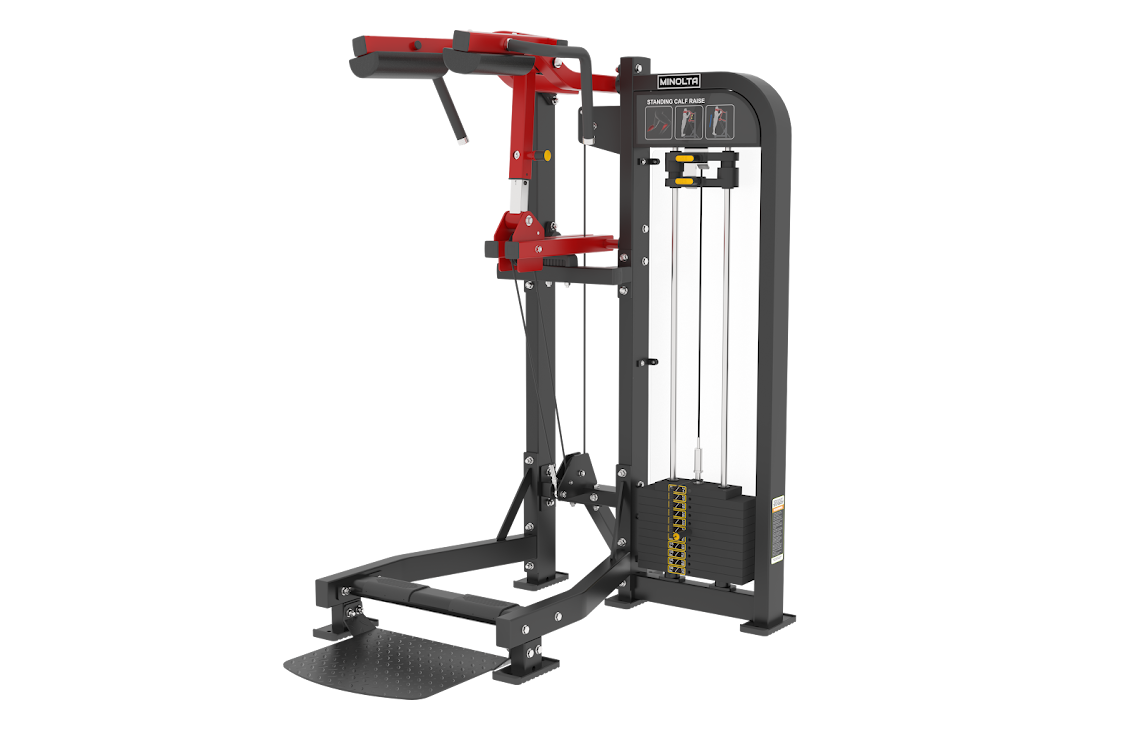 Imagem de: Panturrilha Vertical