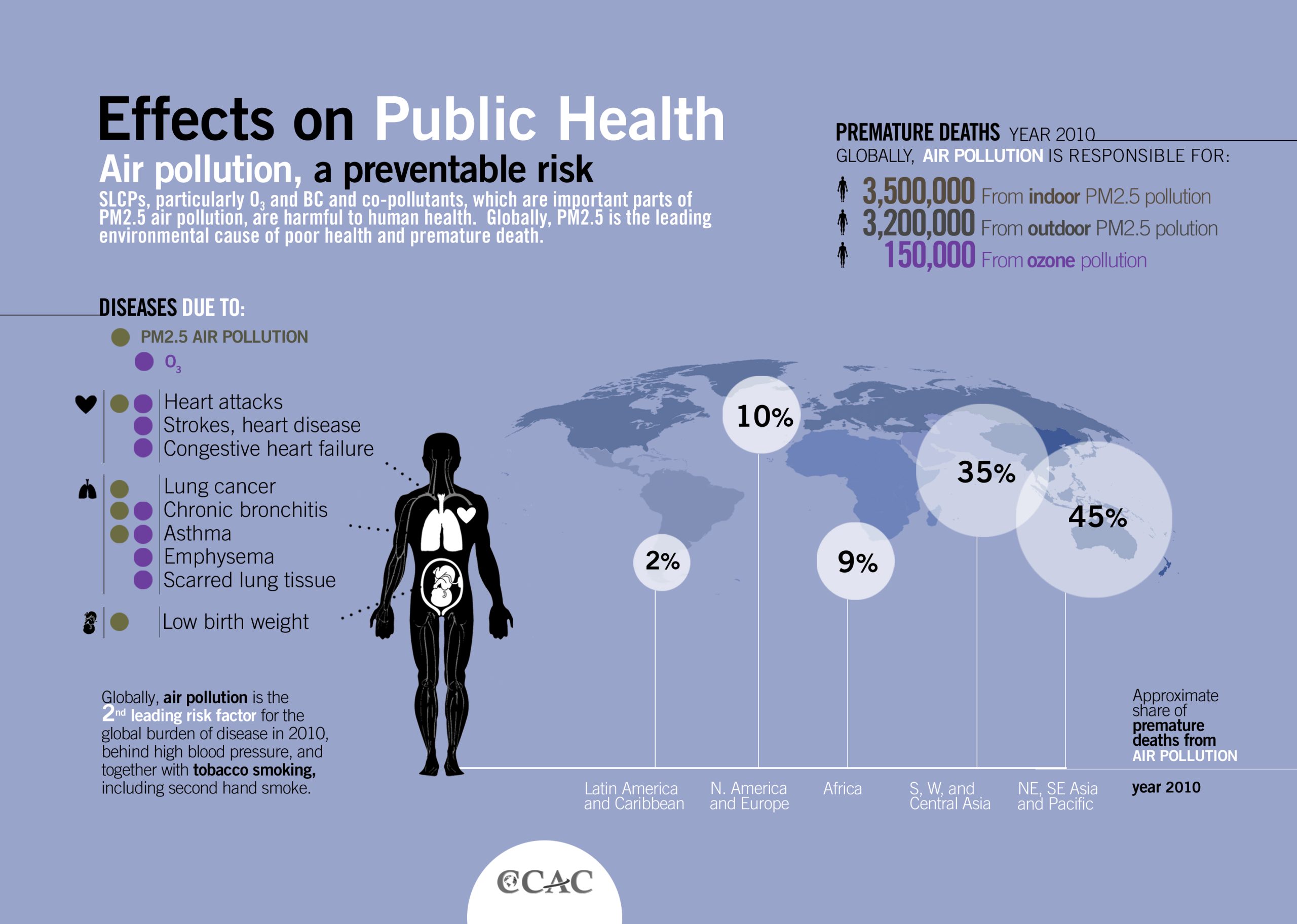The Role of Pollution in Environmental Health Risks