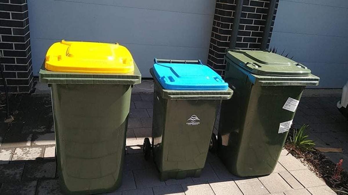 Bin Cleaning and Maintenance