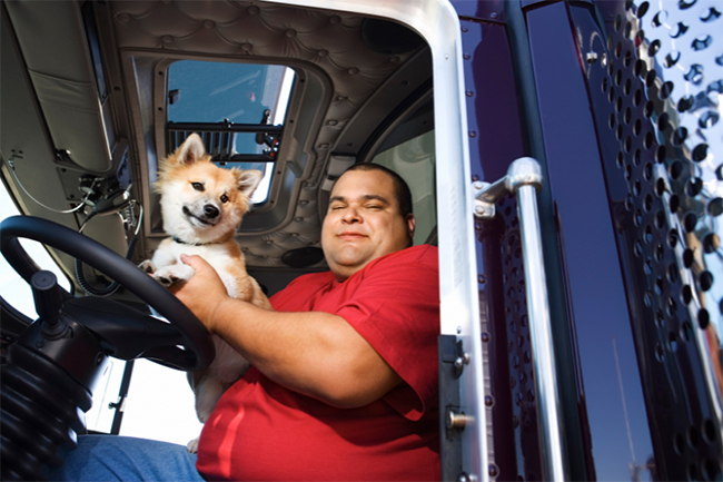 Image of a truck driver smiling as he is driving cross country with a dog