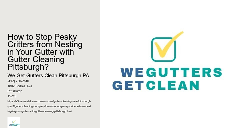 How to Stop Pesky Critters from Nesting in Your Gutter with Gutter Cleaning Pittsburgh?
