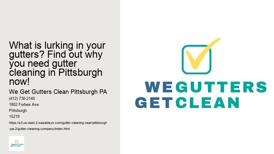 What is lurking in your gutters? Find out why you need gutter cleaning in Pittsburgh now!