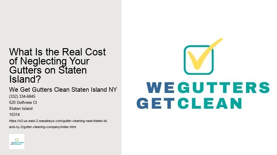 What Is the Real Cost of Neglecting Your Gutters on Staten Island?