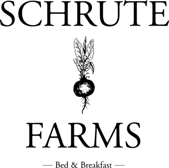 https://inxiz.com/