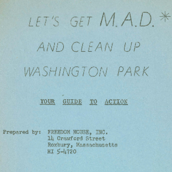 Image of Let's Get M.A.D. and Clean Up Washington Park: Your Guide to Action