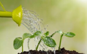 Lee más sobre el artículo Matutina para Adolescentes | Sábado 16 de Marzo de 2024 | Agua para las plantas