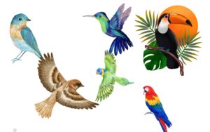 Lee más sobre el artículo Matutina para Menores | Martes 30 de Abril de 2024 | ¿Cuánto sabes de las aves?