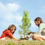 Matutina para Menores | Lunes 27 de Mayo de 2024 | ¿Quieres saber más de árboles?
