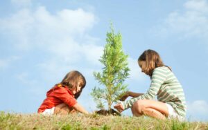 Lee más sobre el artículo Matutina para Menores | Lunes 27 de Mayo de 2024 | ¿Quieres saber más de árboles?