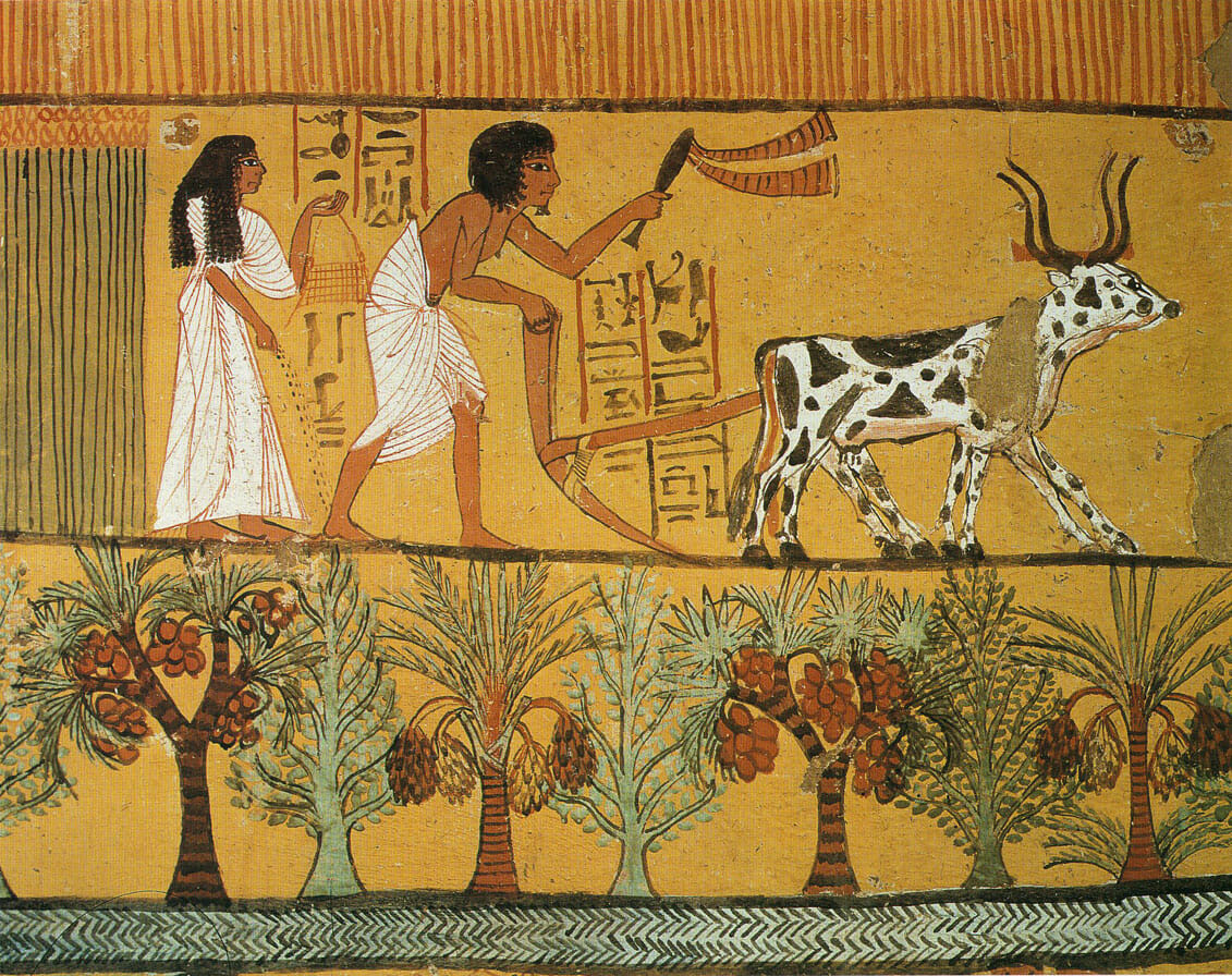 Sowing and Plowing in the Fields. Egyptian wall painting.