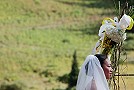 documentary wedding photography in utah