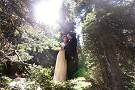 bride and groom in trees on wedding day
