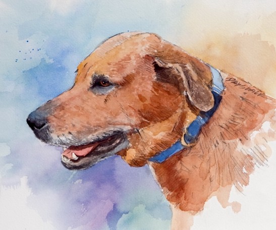 Watercolor Paintings of Dogs and Woodies - Bill Drysdale - 1435521