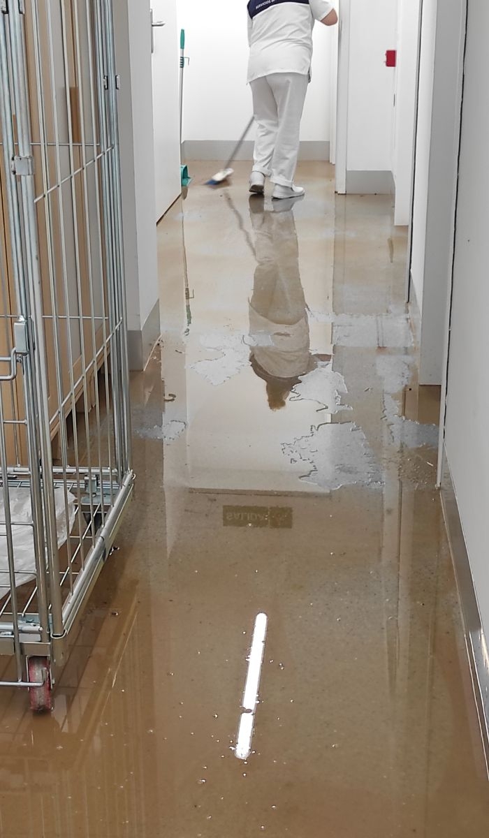 How does Clean Group NZ ensure its cleaning products are safe for patients?