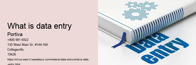 What is data entry