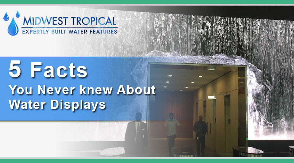 5 Facts you never knew about Water Displays