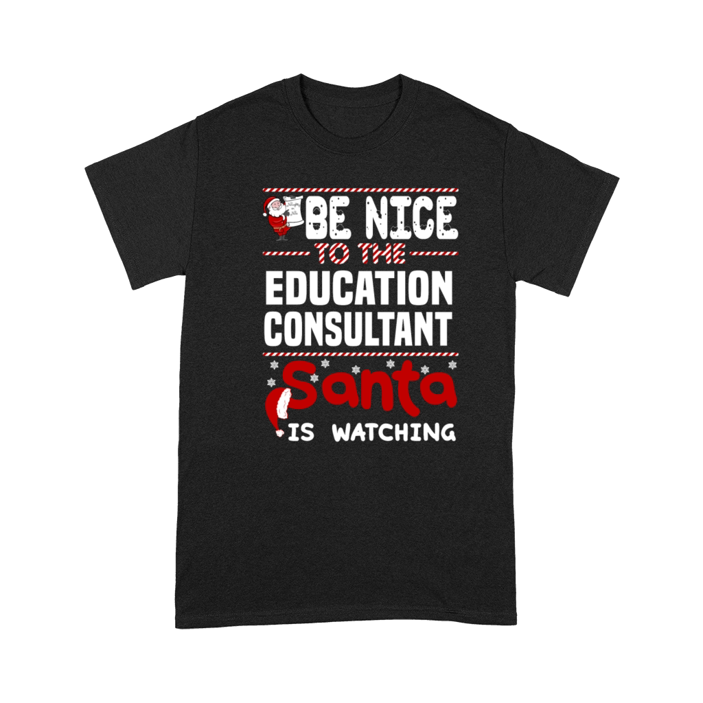 Education Consultant Premium T-shirt