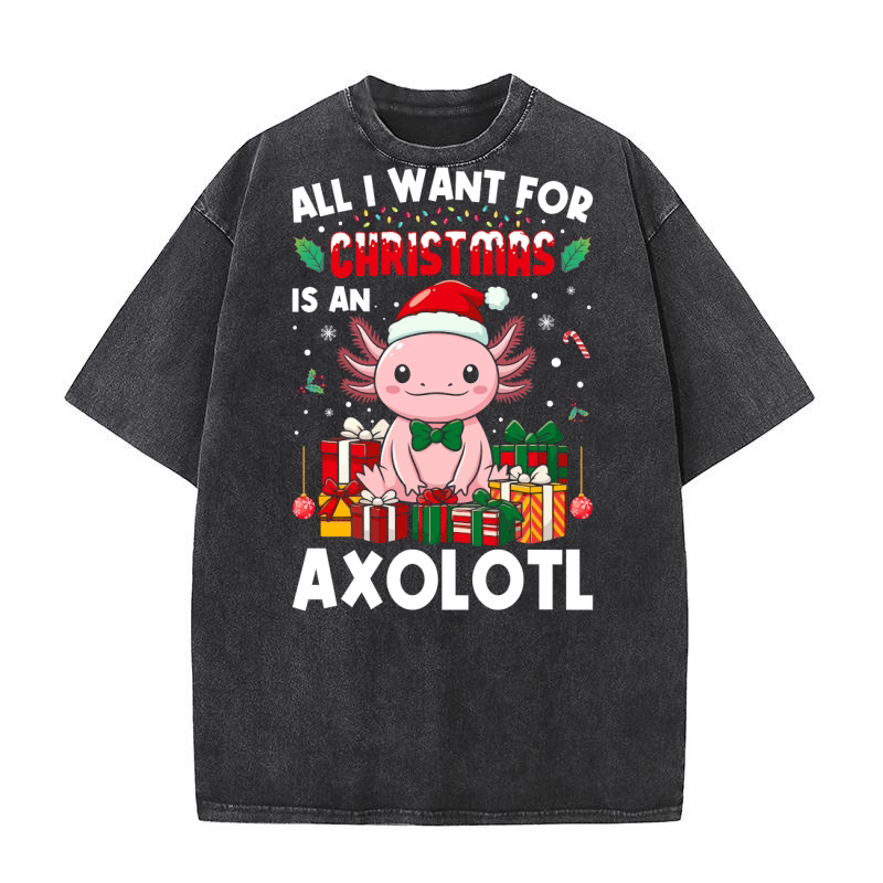 all i want for christmas is an axlotl Washed T-Shirt