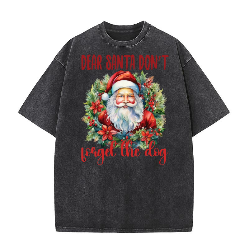 Dear santa dont forgel the dog 1 Washed T-Shirt