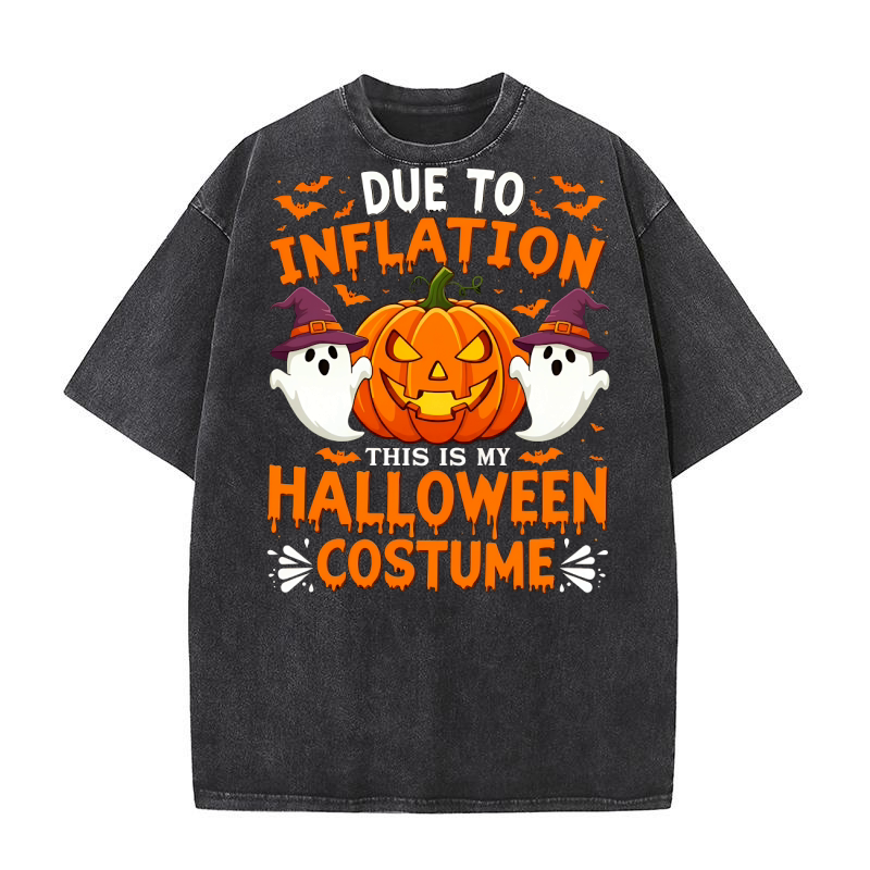 Due To Inflation This Is My Halloween Costume 03 Washed T-Shirt